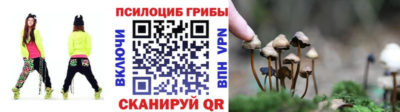 ОМГ ОМГ зеркало  купить наркоту  Обоянь  Псилоцибиновые грибы мицелий 